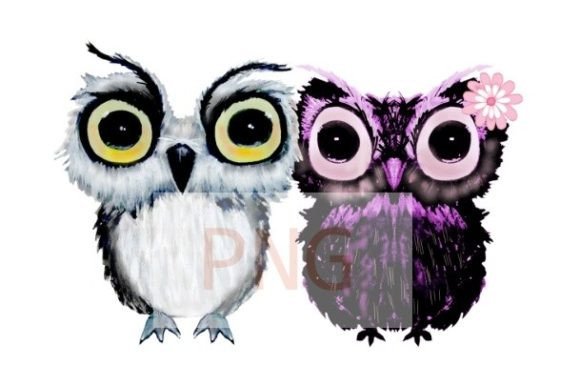 Download Black and White Owl Watercolor Png - Black Collection
